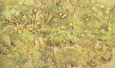 A Field of Yellow Flowers (nn04)